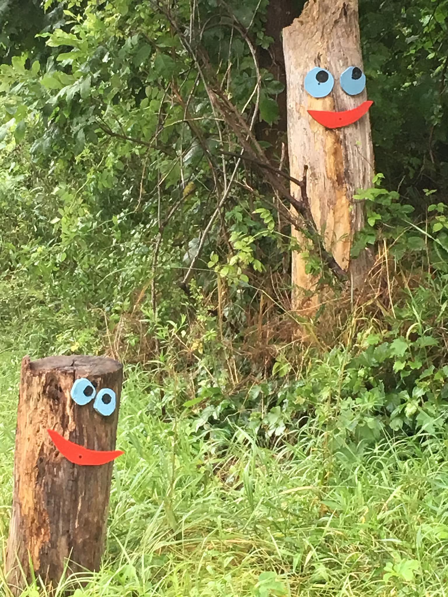 Spotted Decorative Tree Stumps Bring Smiles To Hudson Valley