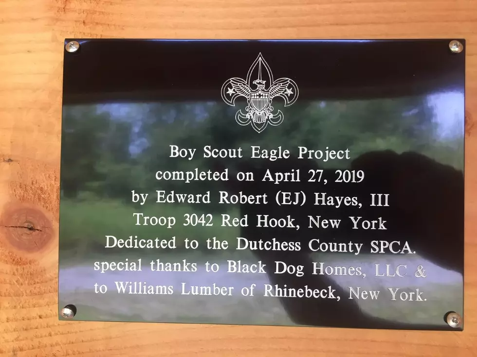 Credit: Dutchess County SPCA