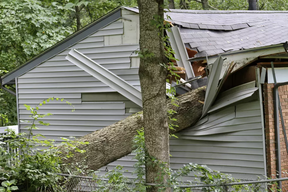 Downed Trees All Over Hudson Valley Causing Traffic Issues