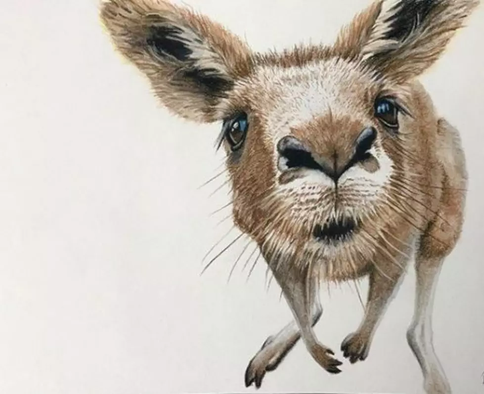 Carmel Artist Selling Artwork to Benefit Australian Wildlife