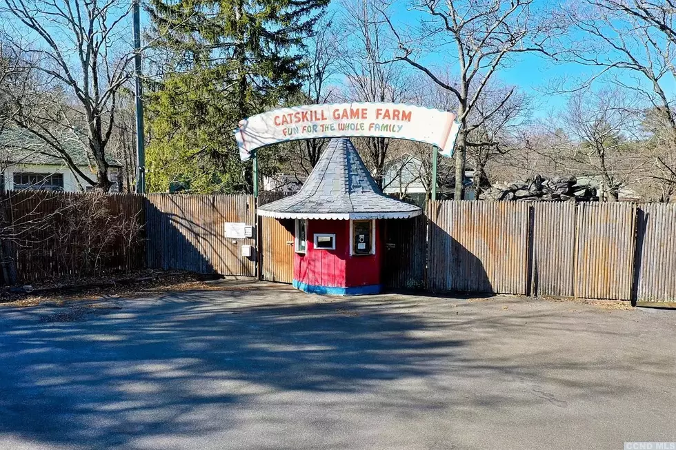 Become Hudson Valley ‘Tiger King': Catskill Game Farm Up For Sale