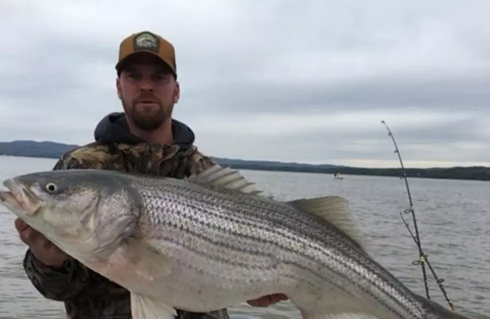 Rock Tavern Man Catches Massive Fish Out Of The Hudson River