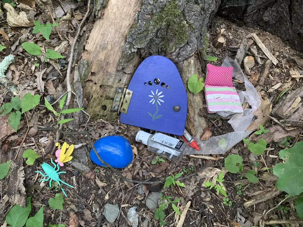 Look for These Fairy Houses in the City of Poughkeepsie