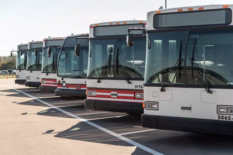 Man Hitches Ride on the Back of Bus in New York City at High Speed