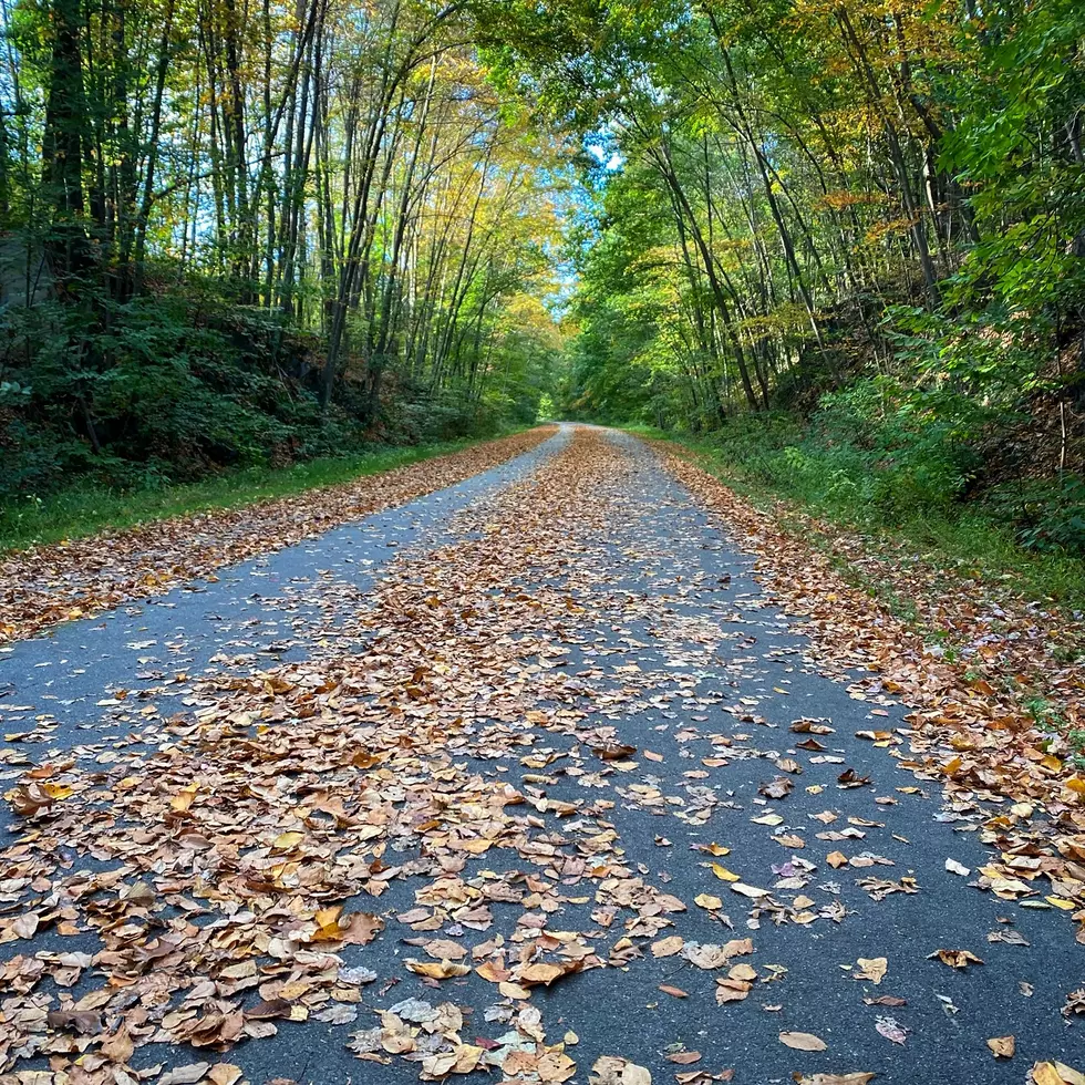 SOLVED: That Delicious Cookie Smell on the Dutchess Rail Trail