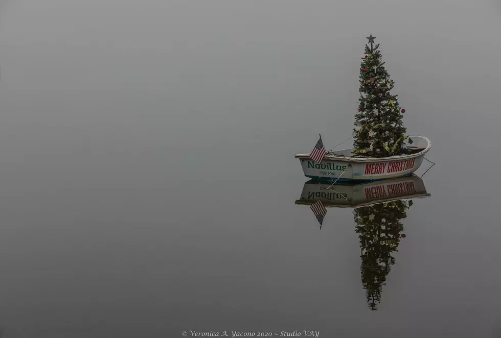 The Somber Reason Behind a Christmas Tree Floating Aimlessly in The Hudson River