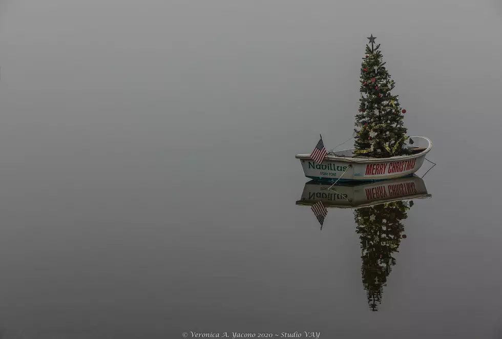 The Somber Reason Behind the Christmas Tree Floating in The Hudson River