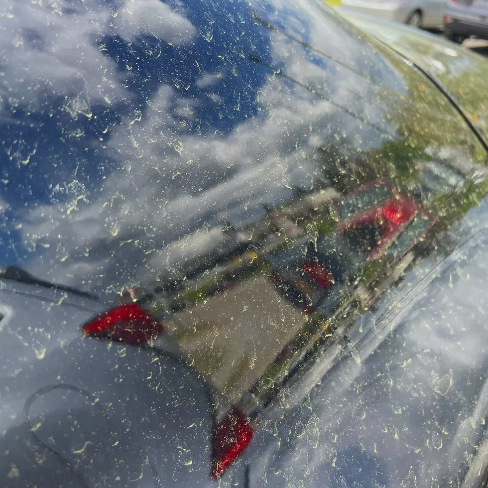 How Just One Grain of Pollen Can Damage Your Car