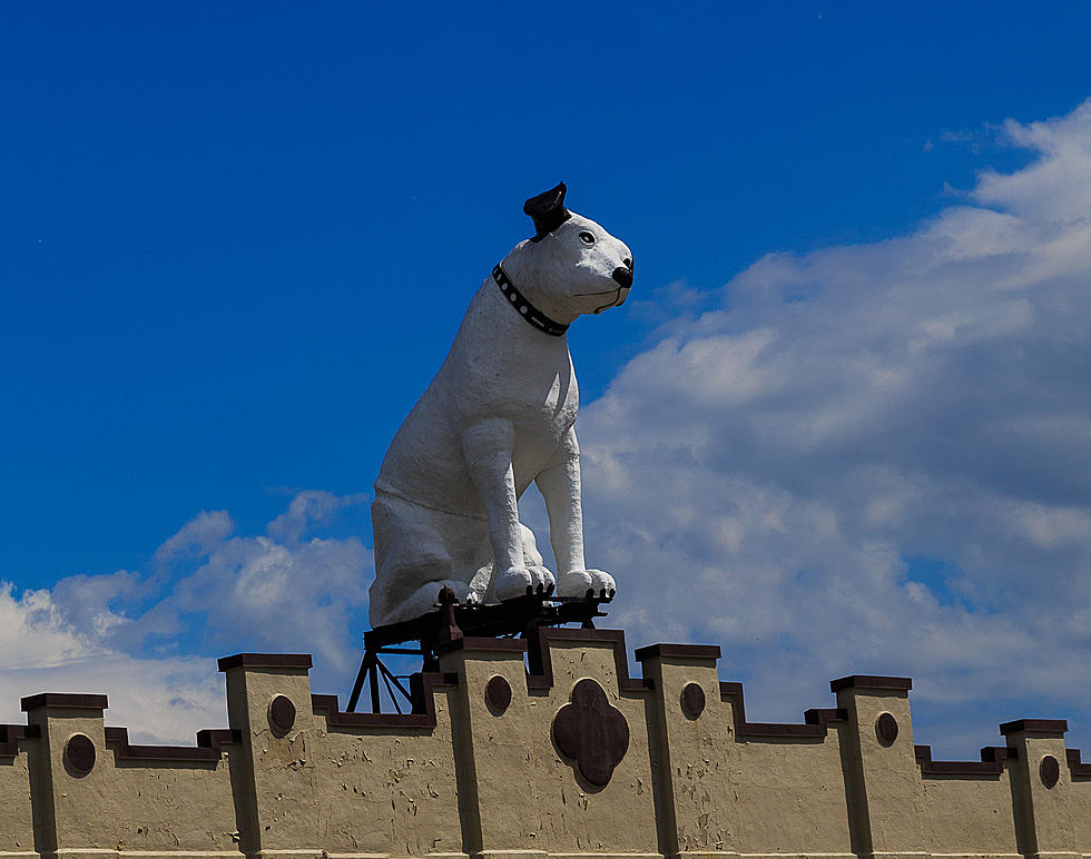 North of the Hudson Valley Some Worship a Giant Dog Named Nipper