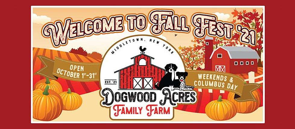 All The Fall Things Saturday in Middletown on the Farm