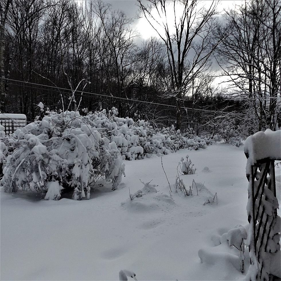 Parts of Hudson Valley Hit With Almost 7&#8243; of Snow
