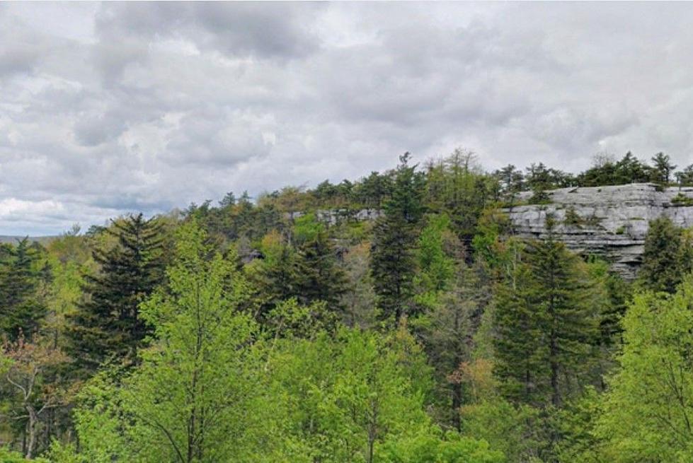 Contained & Reopened:  Promising News From Minnewaska State Park