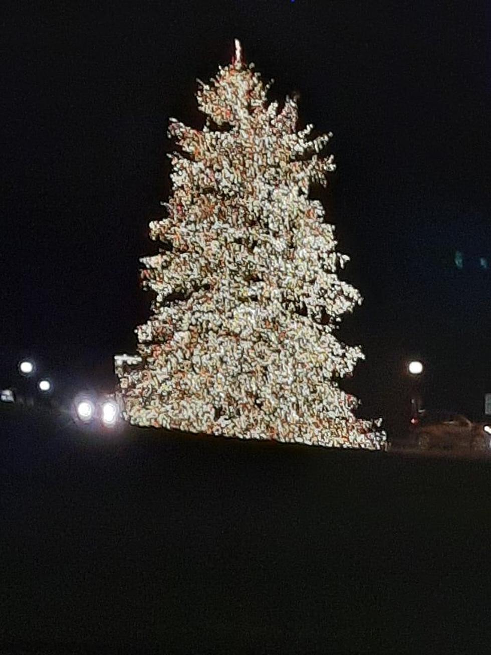 Marist’s Christmas Tree Shines Once Again for 2021