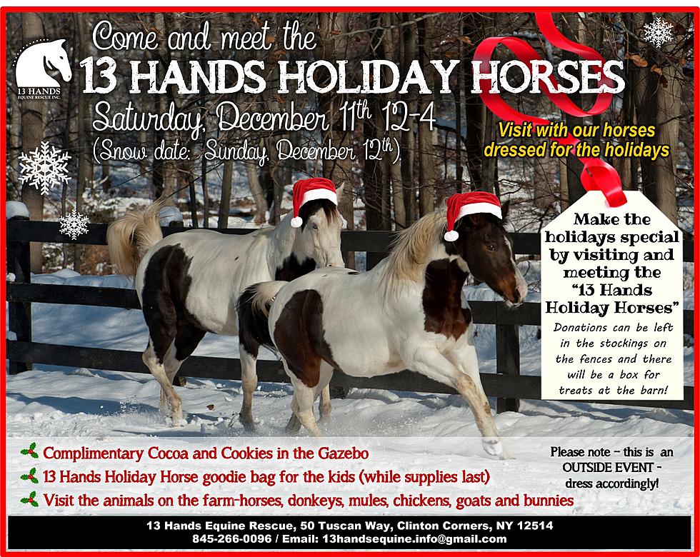 Equine Rescue to Offer Holiday Horses Event in Dutchess County