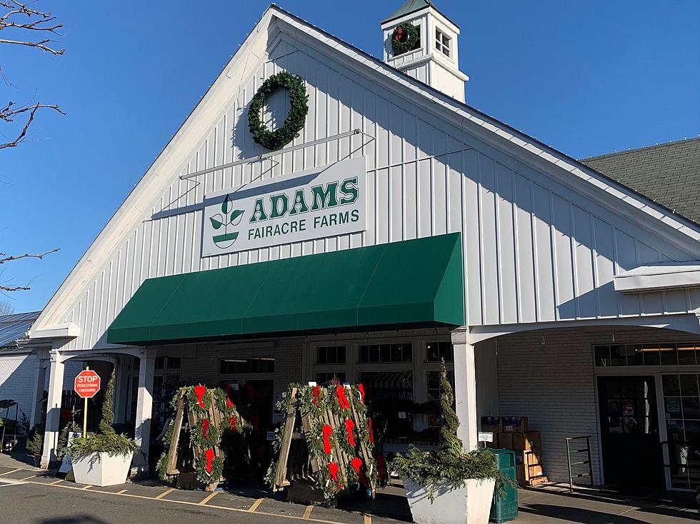 Yes, You Can ACTUALLY Buy These 10 Things at Adams