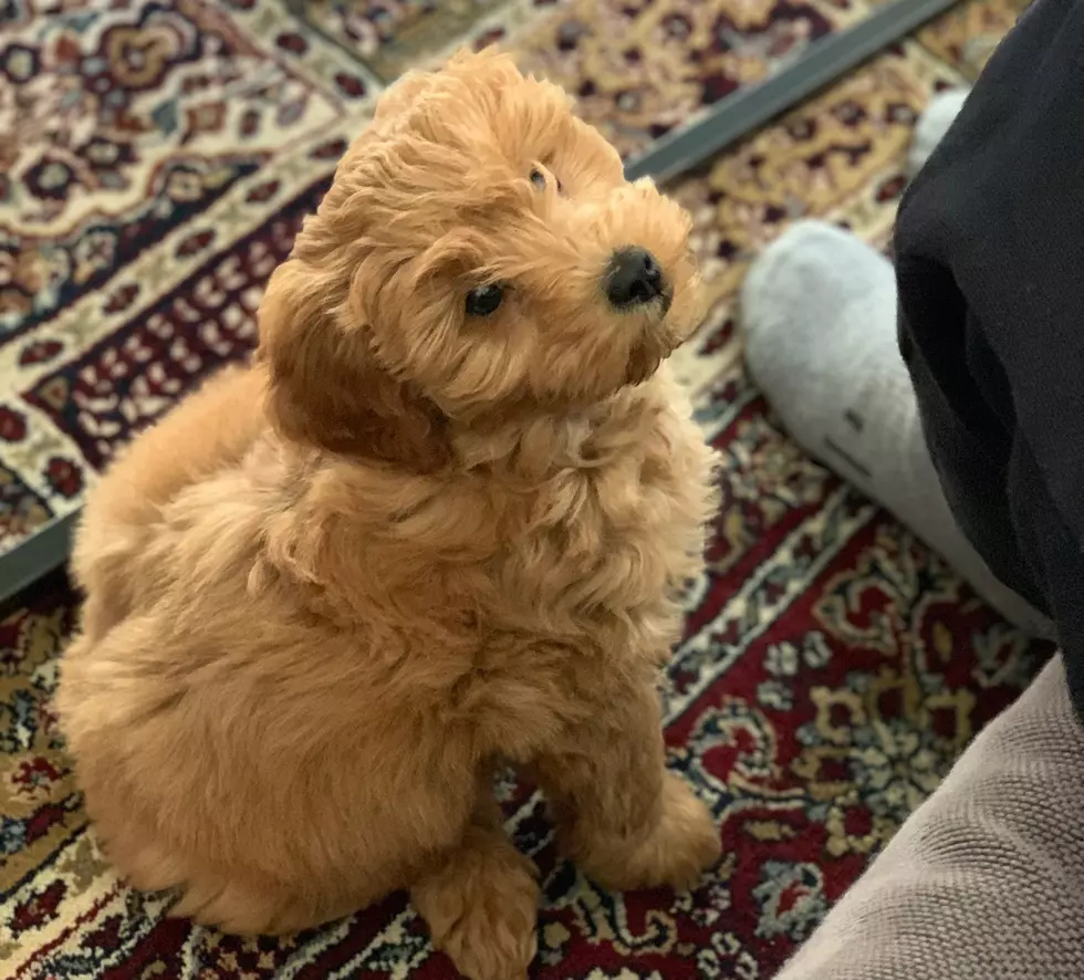 We want to make sure we find the best place for our little guy (Jonah)