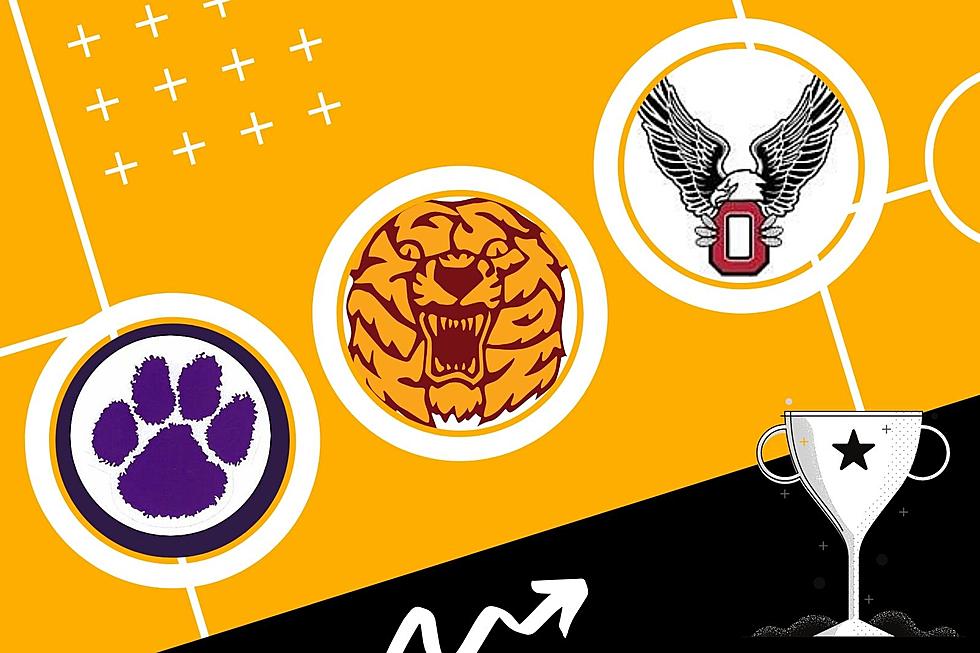 From Awesome to Absurd: Top 11 Hudson Valley High School Mascots Ranked