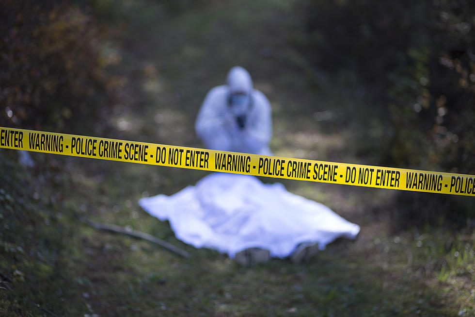Hudson Valley Man Admits To Killing Missing Upstate New York Man