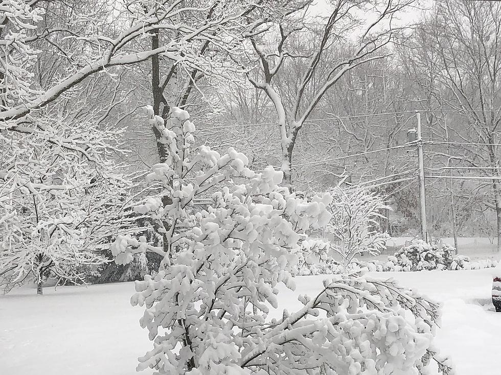 Absolutely Covered: The Snowiest Days in Hudson Valley History
