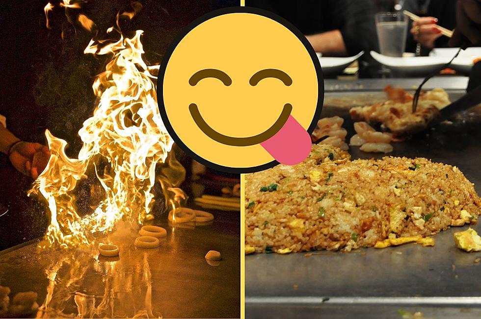 The 8 Best Hibachi Restaurants in the Hudson Valley, Ranked