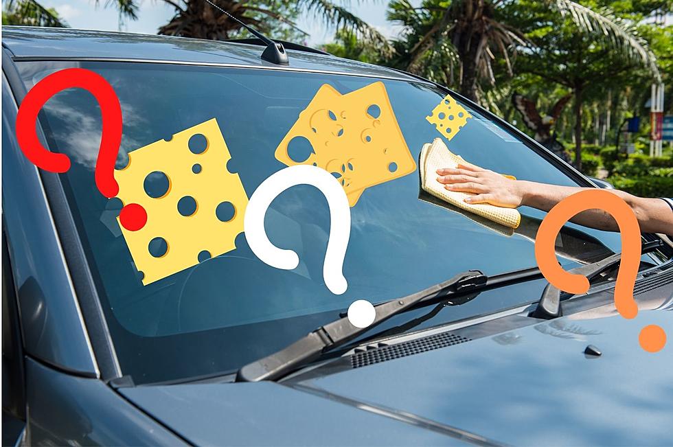 The Reason People Are Throwing Cheese at Cars in the Hudson Valley