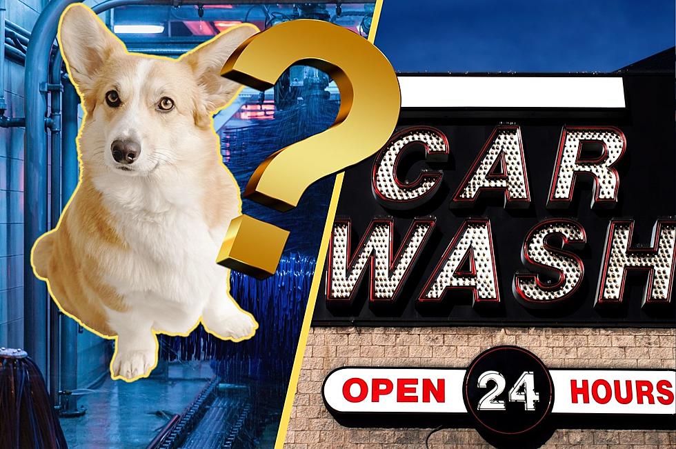 These 8 Hudson Valley Car Washes Have an Awesome Feature for Your Dog