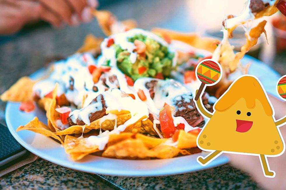10 Best Hot Spots for Nachos Near Newburgh, NY According to Yelp
