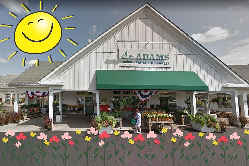 Which Adam&#8217;s Fairacre Farms is the Fairest of Them All?
