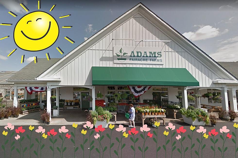 Which Adams Fairacre Farms is the Fairest of Them All?