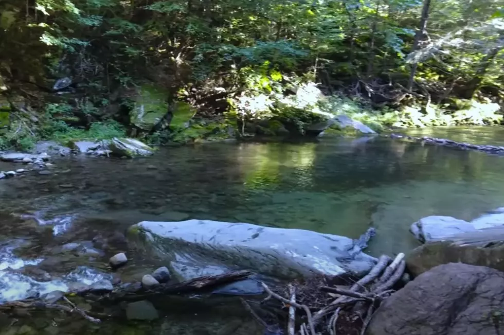 No Pool? The Best Swimming Holes in the Hudson Valley