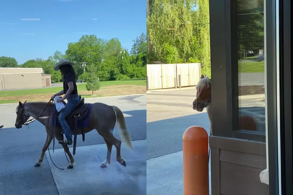 A Horse Trots Up To A Dunkin&#8217; Drive Through &#8211; Sounds Like A Bad Pick Up Line