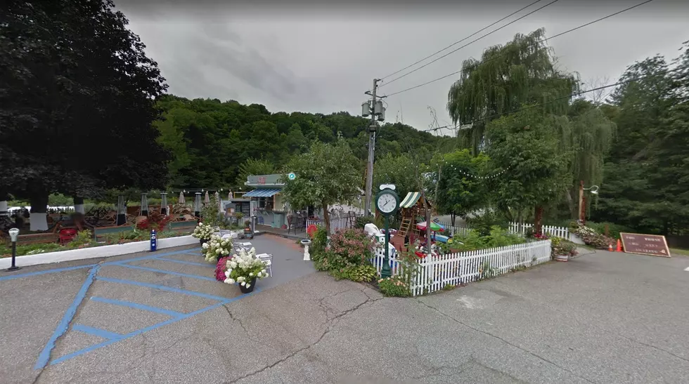 Four Brothers Drive-In, Amenia, NY (Google)
