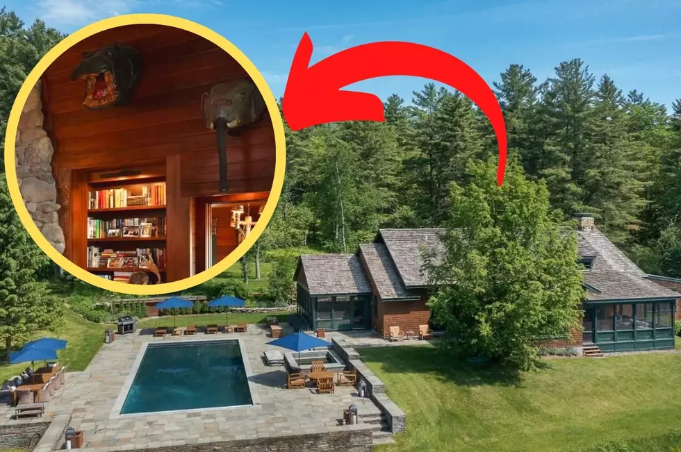 How Many Dead Animals Can You Spot in this Hudson Valley Mansion?