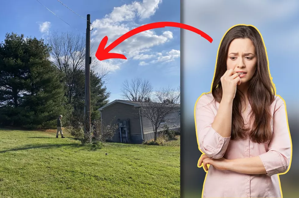 Who’s Responsible if a Utility Pole Falls in NYS? It Might be You