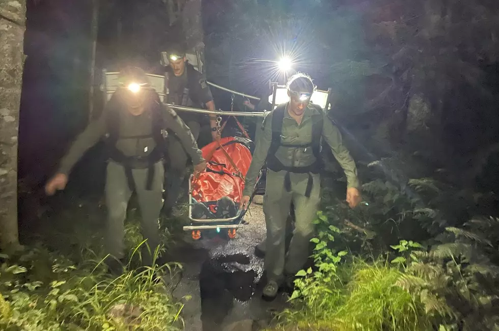 Dramatic 12-Hour Mountain Rescue by New York Forest Rangers [PHOTOS]
