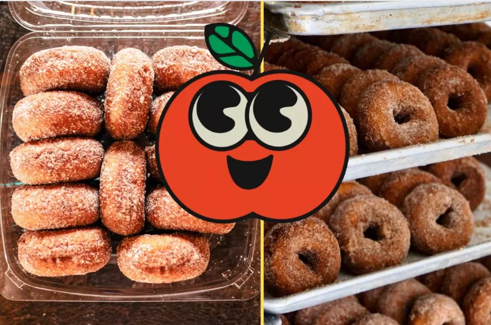 Have You Tried the Best Apple Cider Donuts in the Hudson Valley?