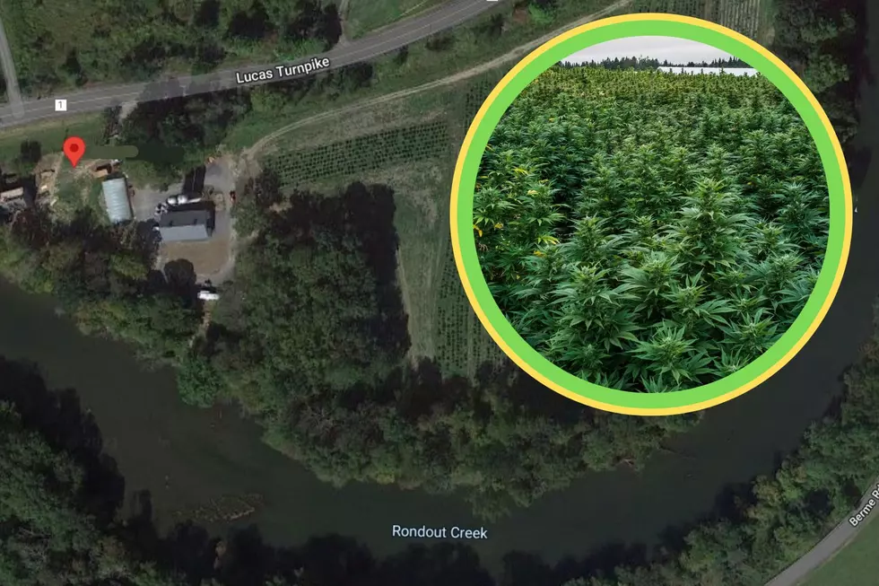 The Hudson Valley Farm Providing New York's First Legal Cannabis