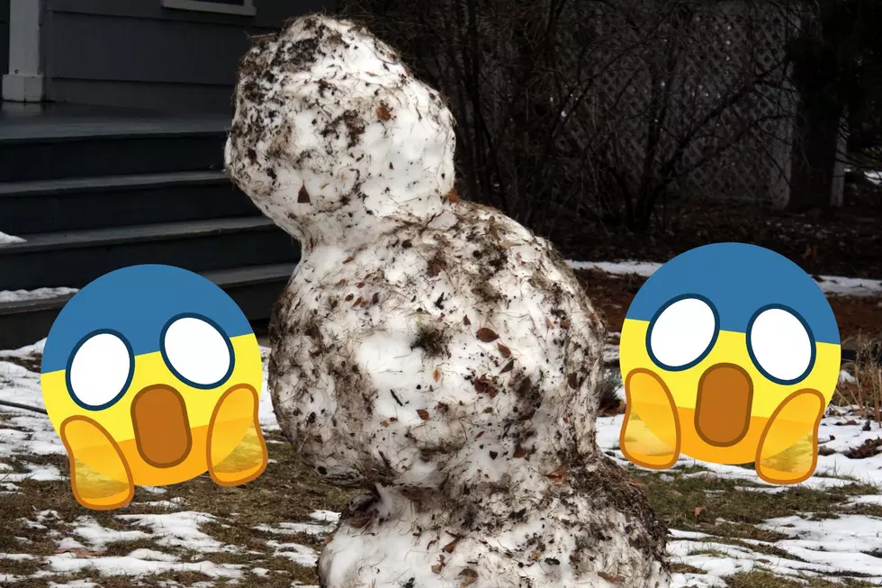 Upstate New York School Under Fire Over "Racist Snowman" Post