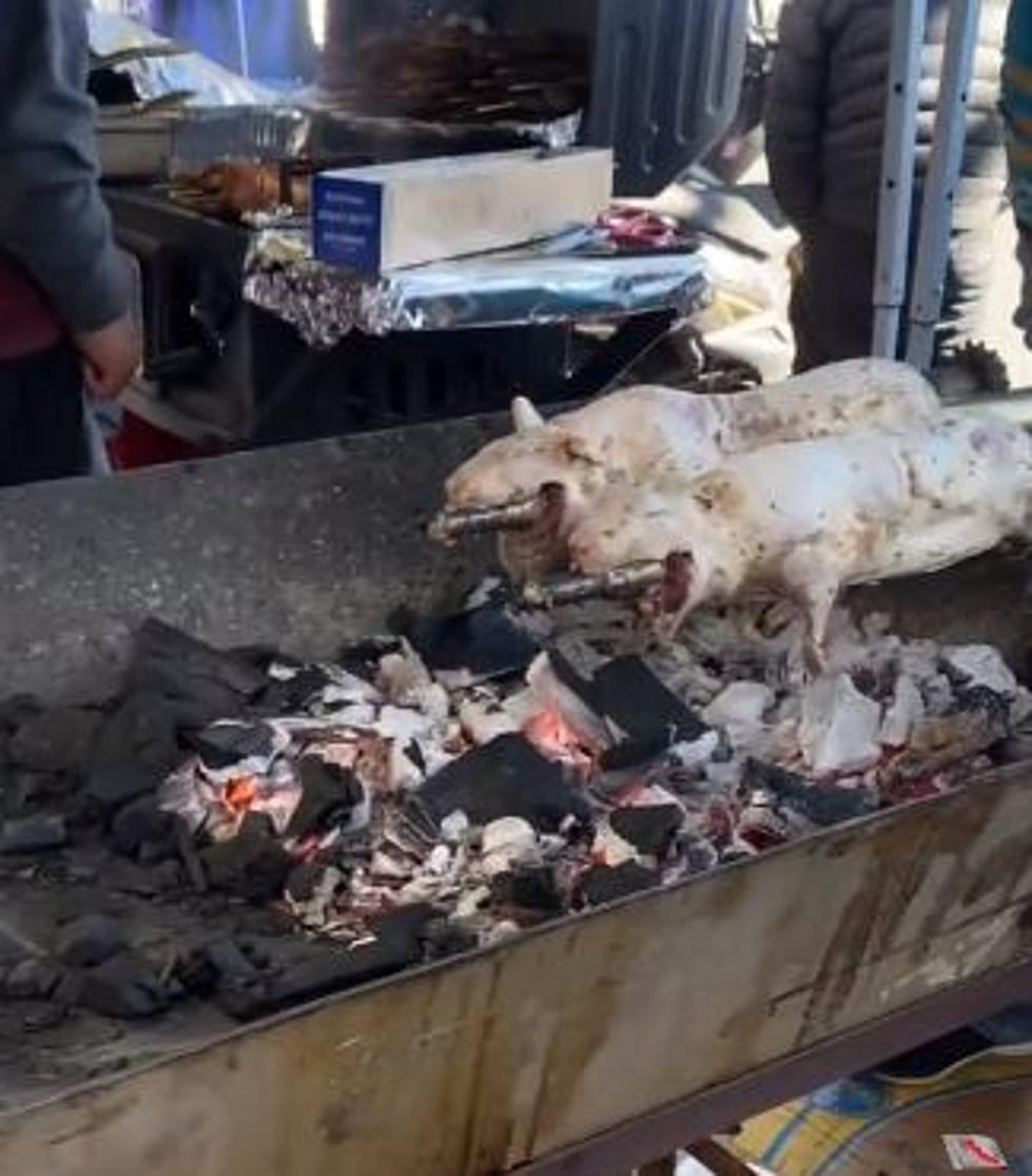 More Video of People Eating Grilled Rodents in New York City?