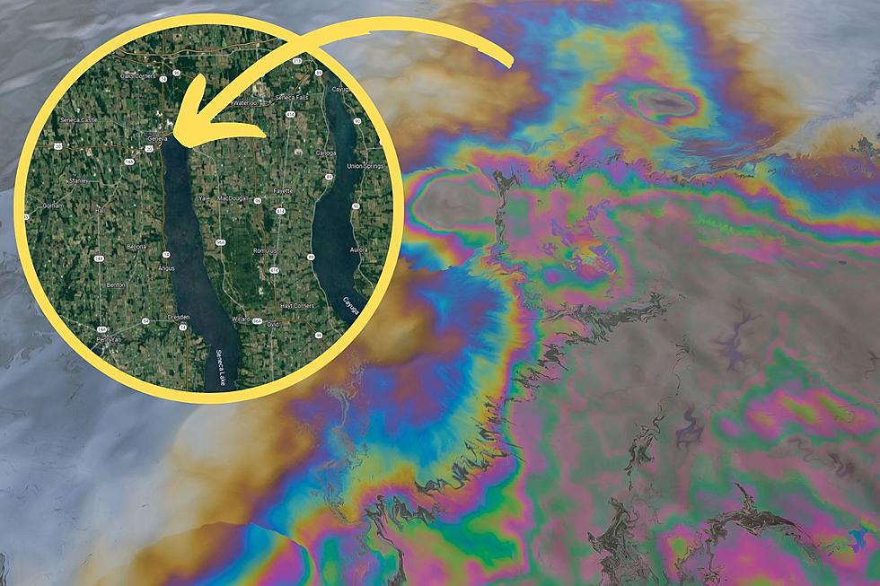 Tóxico: misterioso derrame de petróleo en el lago más profundo de Nueva York