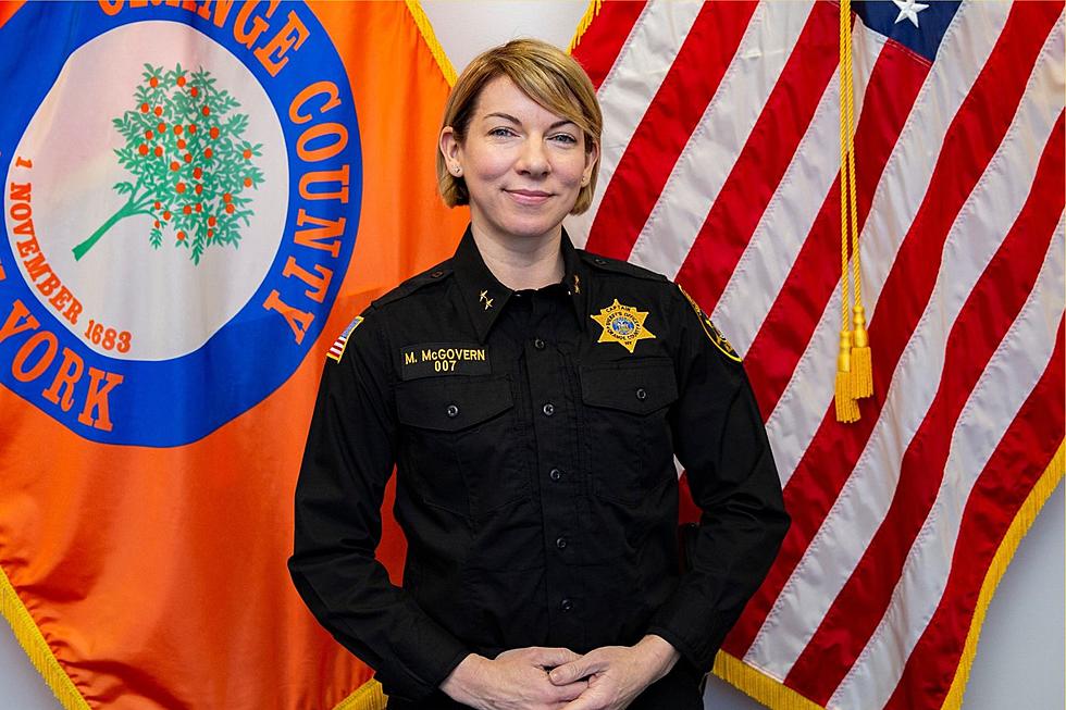 Former FBI Taskforce Member is New Orange County Sheriff Chief