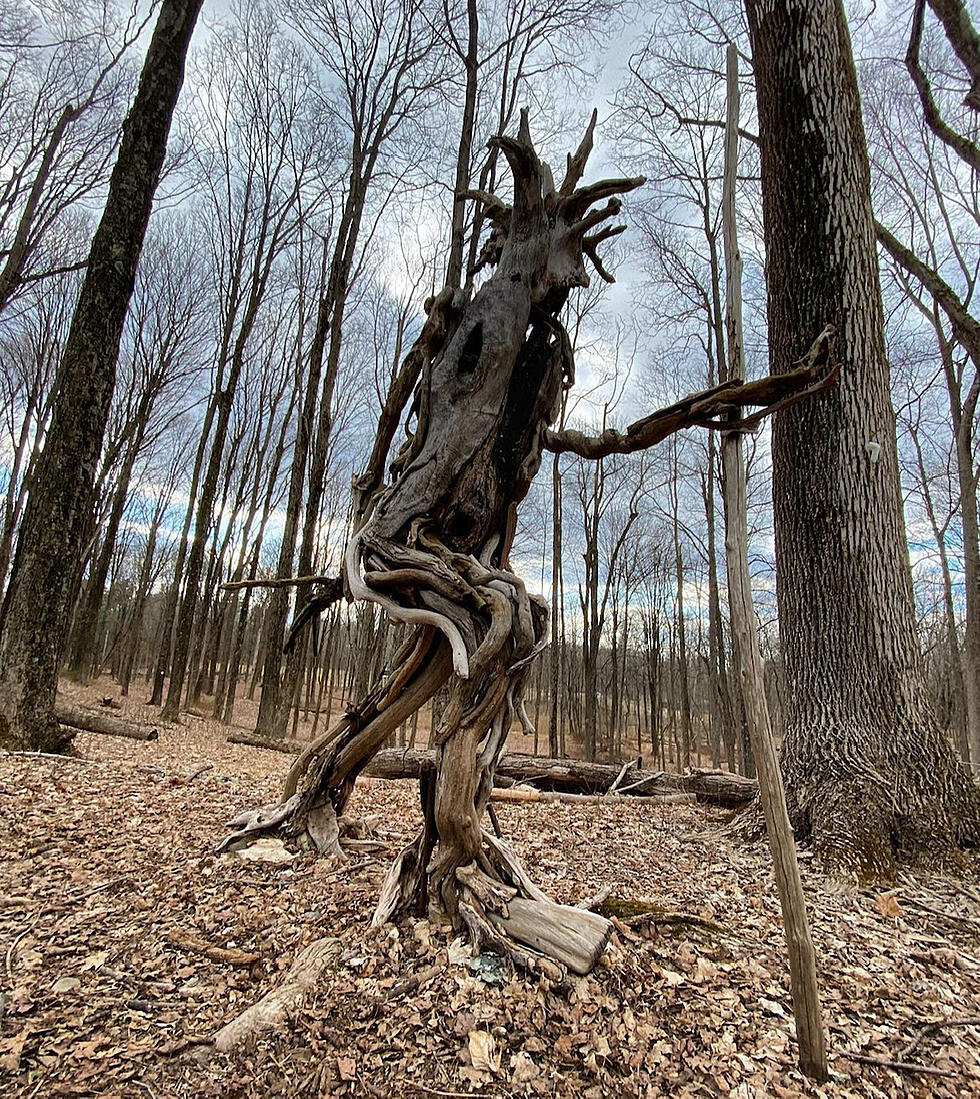 Creepy Wooden Figure Hiding in Rhinebeck, New York