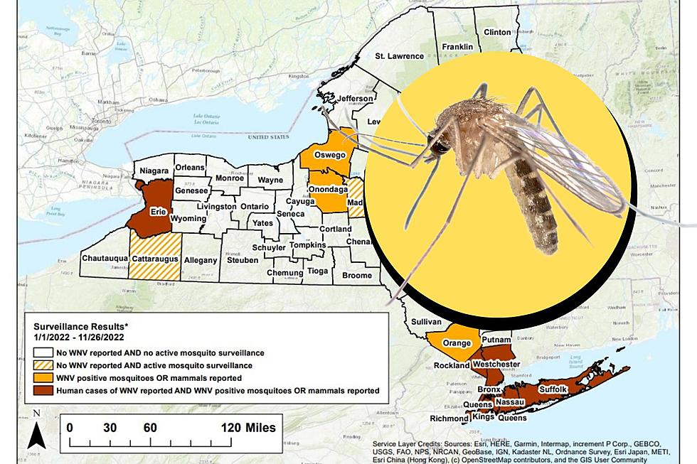 New York Counties Most at Risk for Fatal Mosquito-Borne Disease