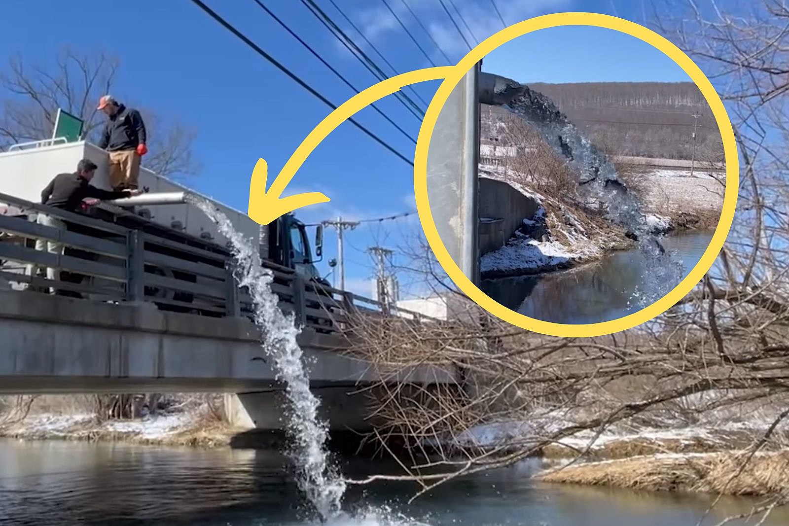 Watch Video of the NY DEC's Giant Fish Tanker
