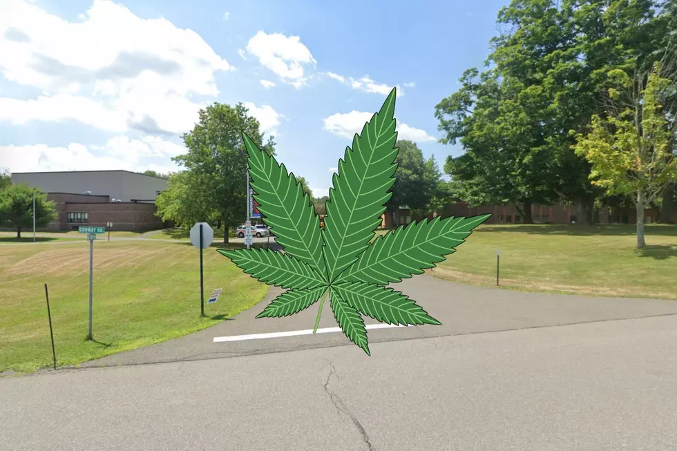Columbia-Green Community College offers a Cannabis Retail and Sales Microcredential (Canva)