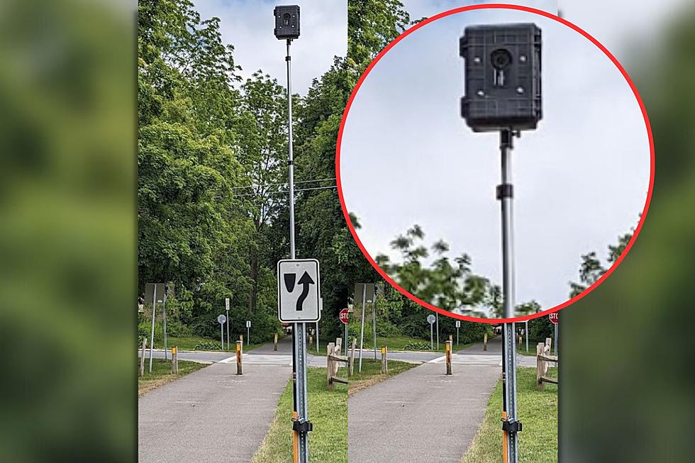 Explained: Strange New Cameras Popping Up in New York State