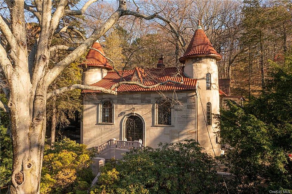 Stunning Castle For Sale in the Lower Hudson Valley