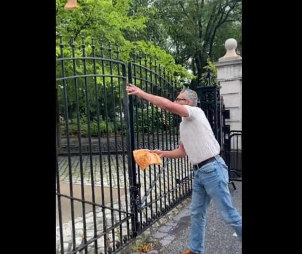Fed Up New York Artist Throws Pizza at City Hall
