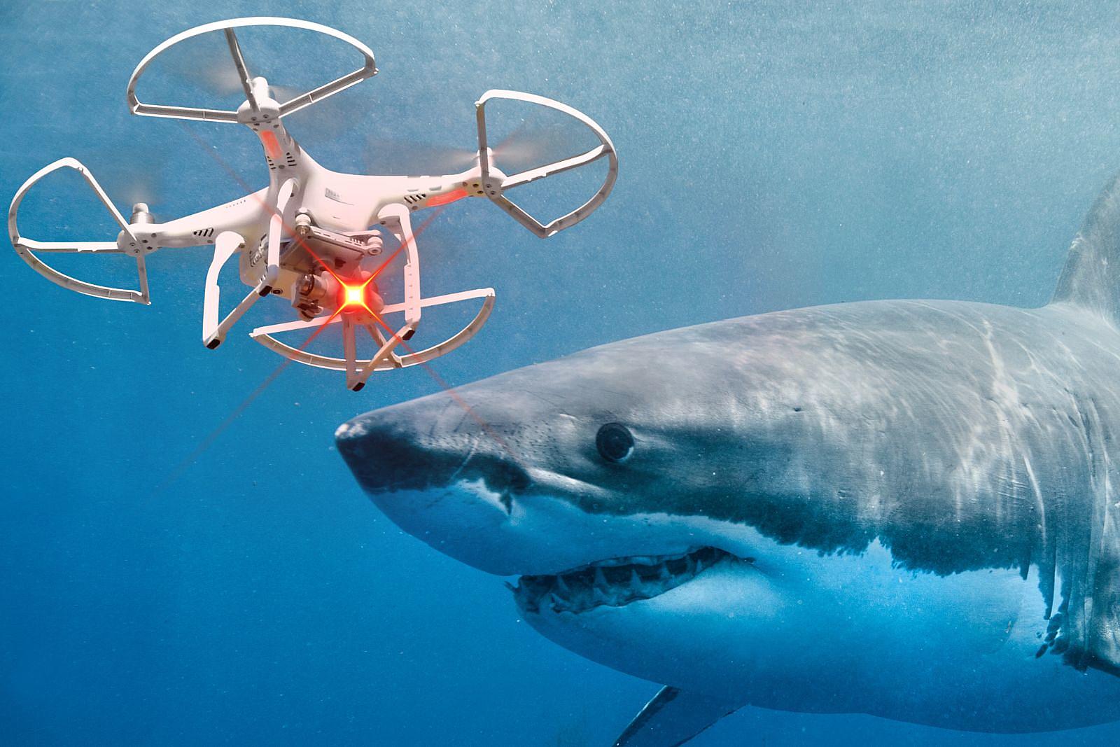Shark Drones' with Lasers are Coming to New York Beaches