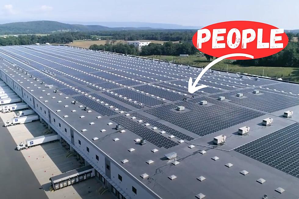 New York’s Largest Solar Rooftop Is in the Hudson Valley